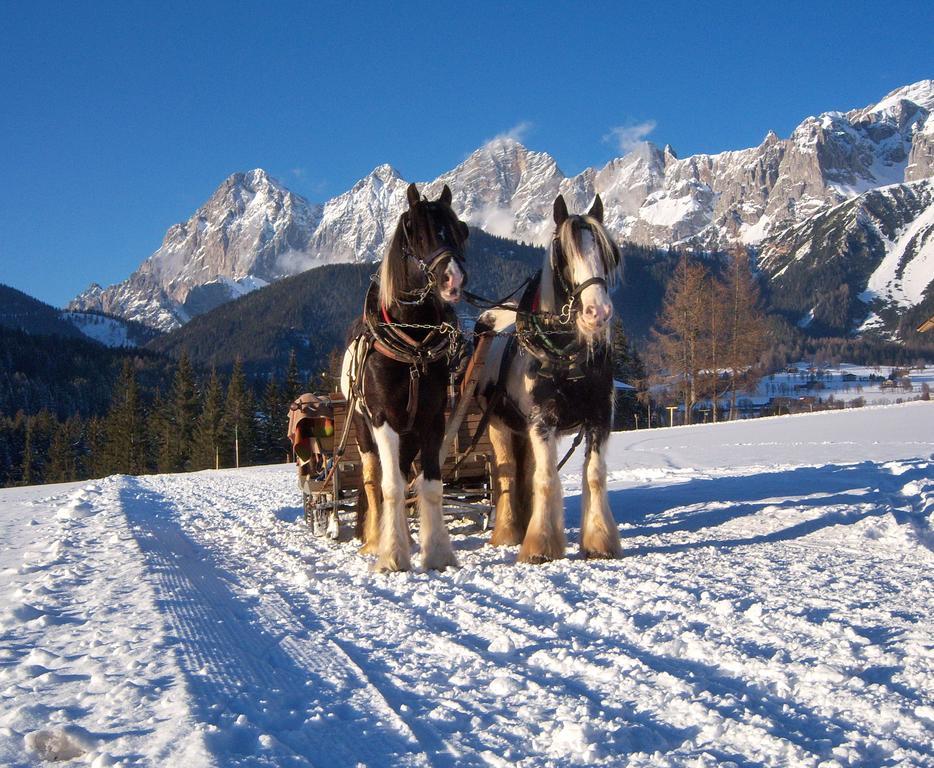 Appartement Zum Roessl Ramsau am Dachstein Exterior foto
